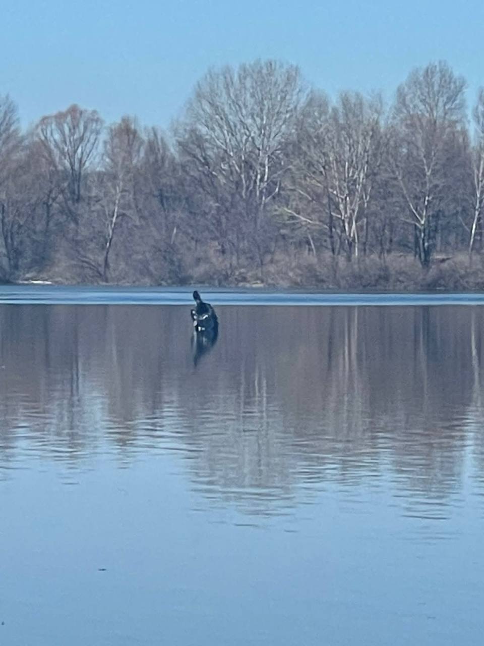 Українська ППО збила ворожу ракету над Києвом