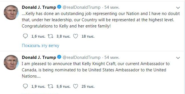 Трамп назвал новую кандидатуру постпреда США при ООН