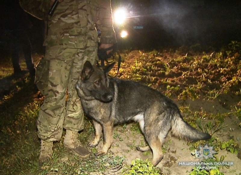 В Винницкой области в результате взрыва гранты ранен полицейский