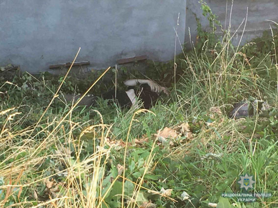 Во Львове женщина погибла под колесами грузового поезда