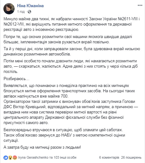 Южаніна звинувачує ДФС у блокуванні розмитнення "євроблях"
