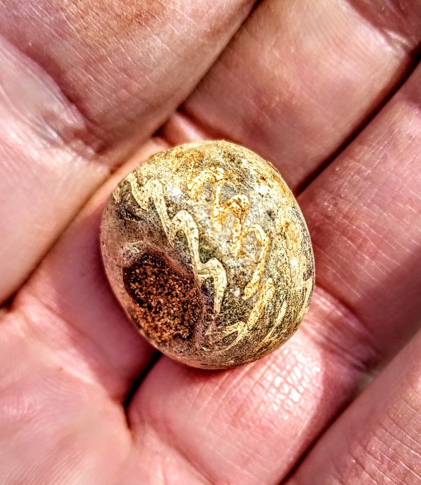 Археологи объявили о научной сенсации: под Львовом нашли древние "поля погребений"