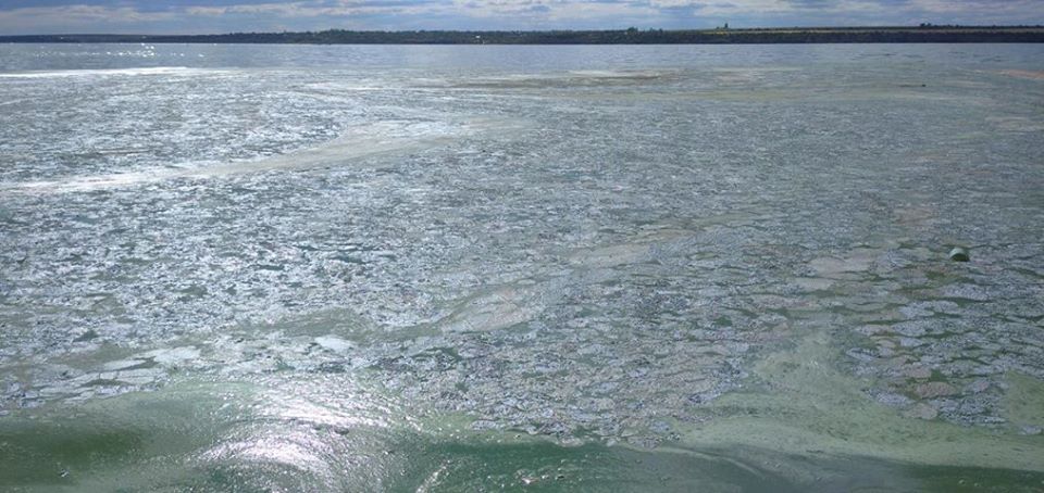 У Миколаєві вода на пляжі перетворилася в зелену рідину: що відбувається