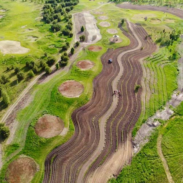 В Украине появятся лавандовые реки: все подробности