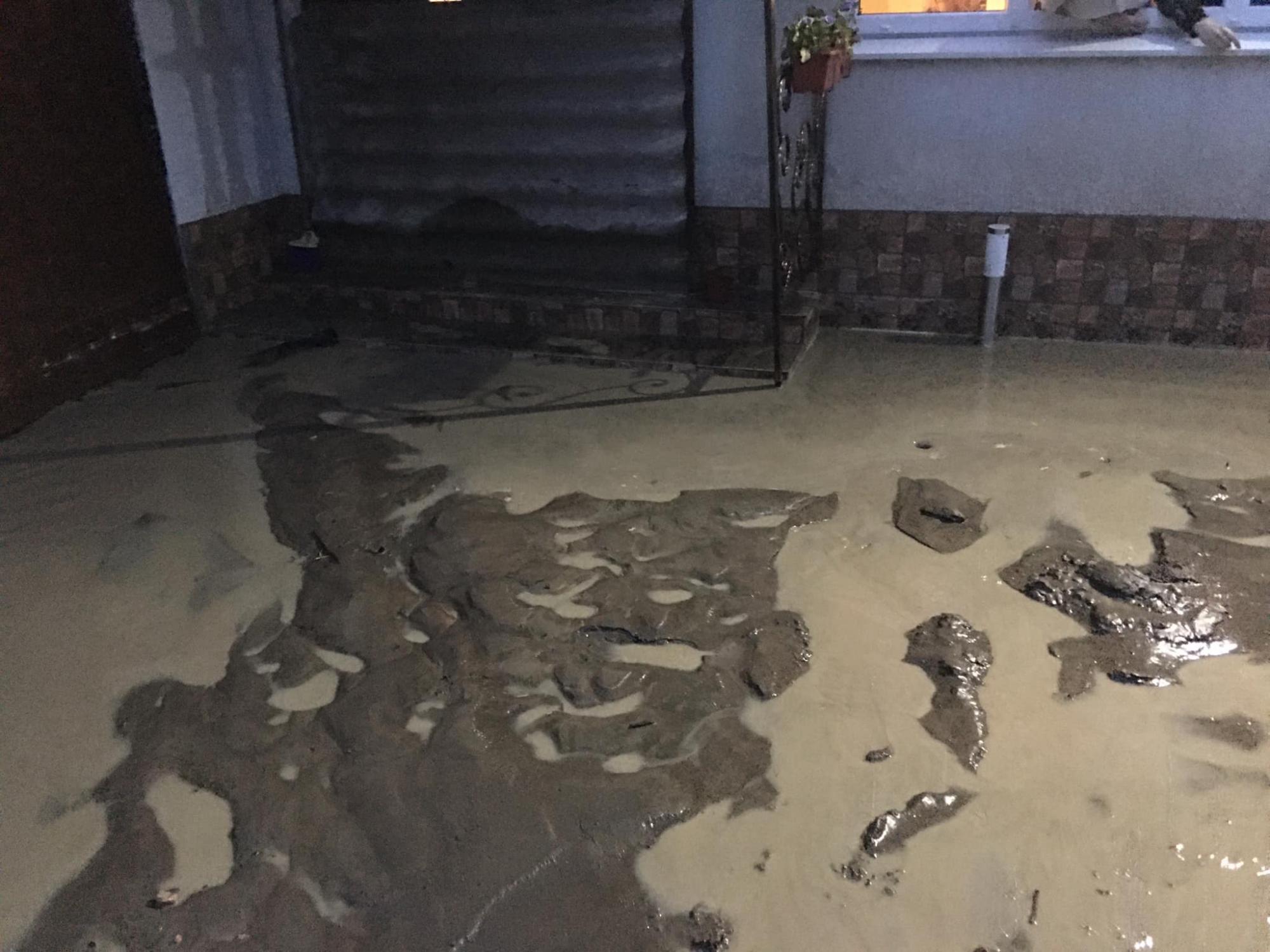 Люди спасались через окна: последствия ночного паводка на Закарпатье показали на фото