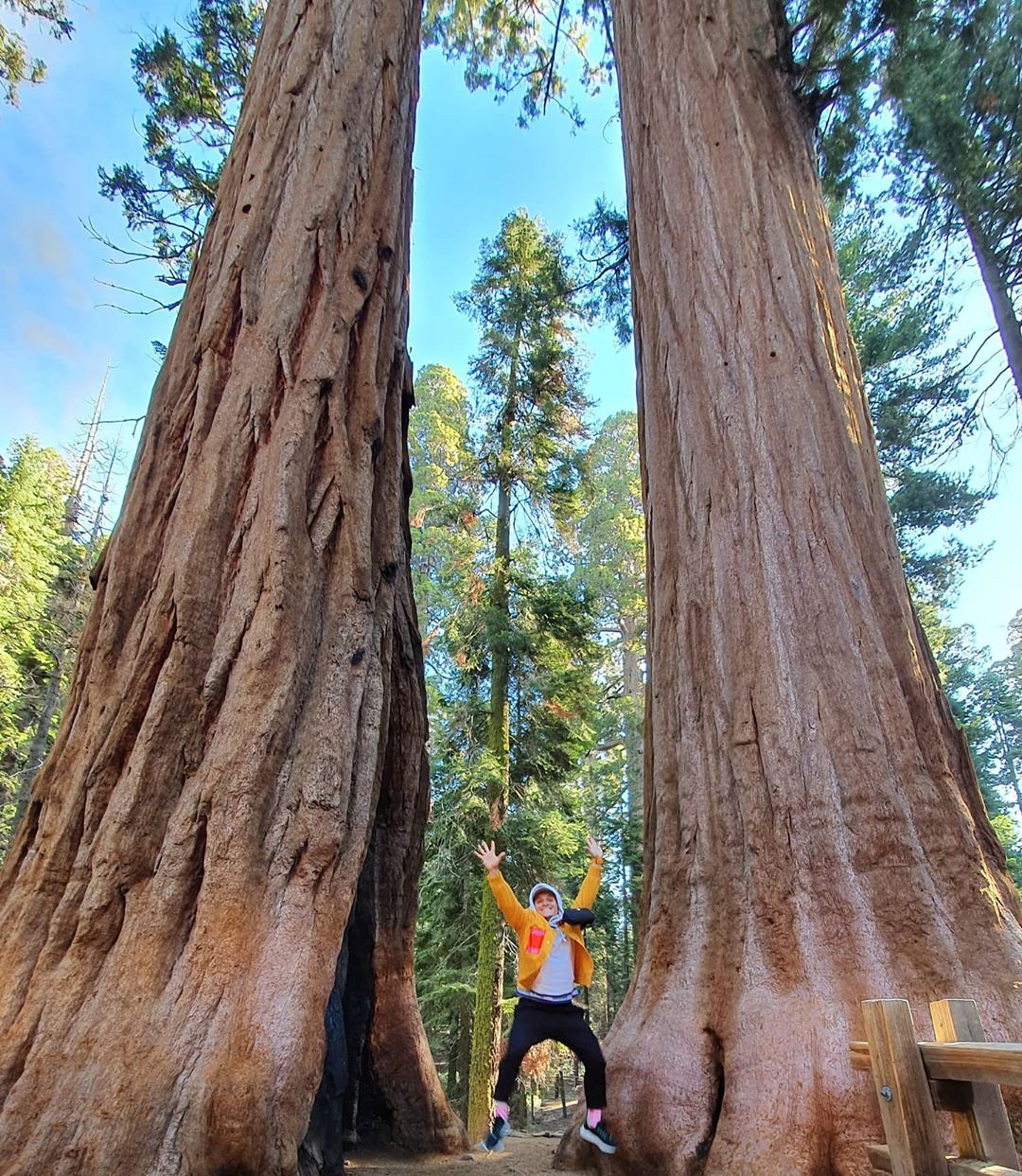 Где отпраздновать День Независимости Украины: топ-5 мест от Анатолия Анатолича