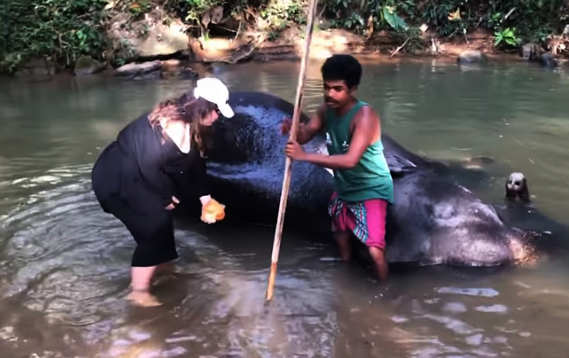 "Казкові канікули": група KAZKA мила слона і откапывала зі снігу Жигулі