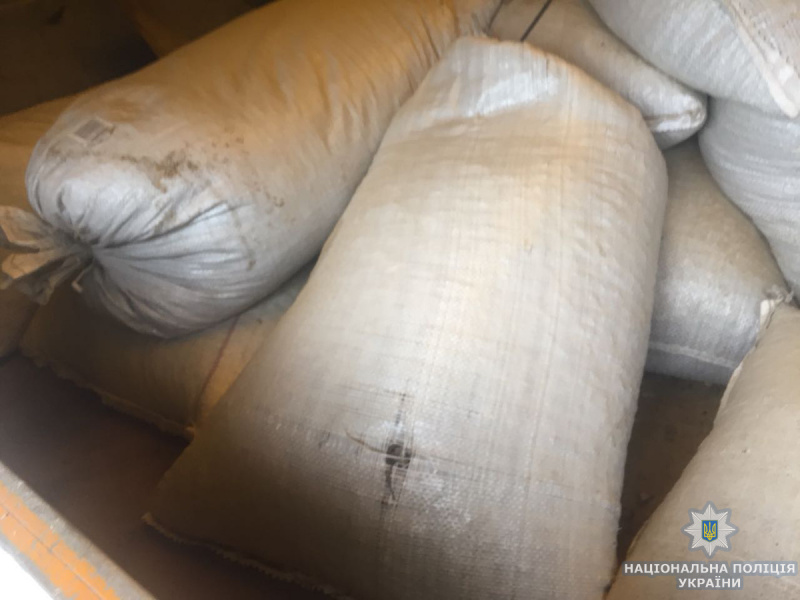 В Житомирской области изъяли рекордную партию янтаря