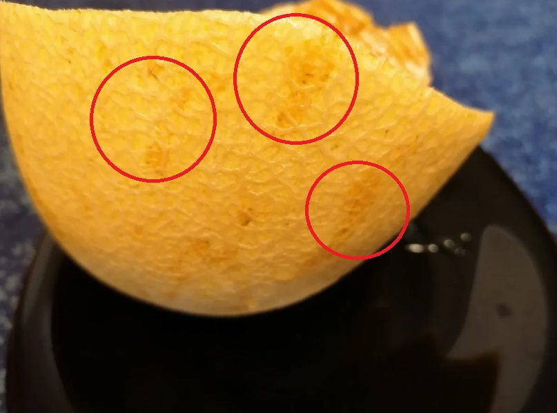 Як вибрати найсолодшу і найсоковитішу диню: продавець поділився секретом