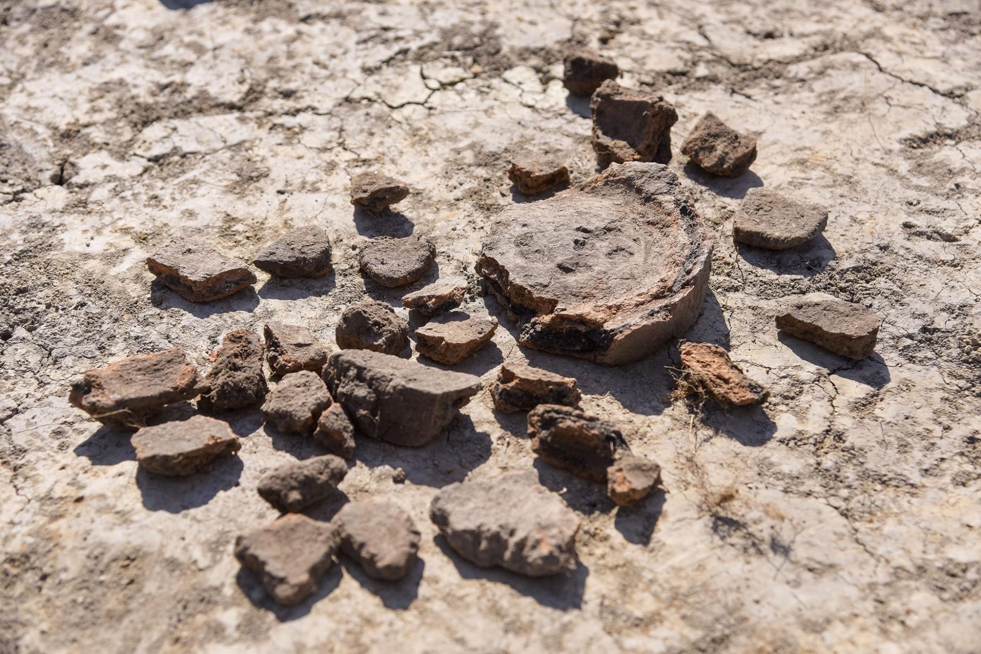 Під Львовом знайшли поселення найдавнішої культури: артефактам понад 7 тисяч років