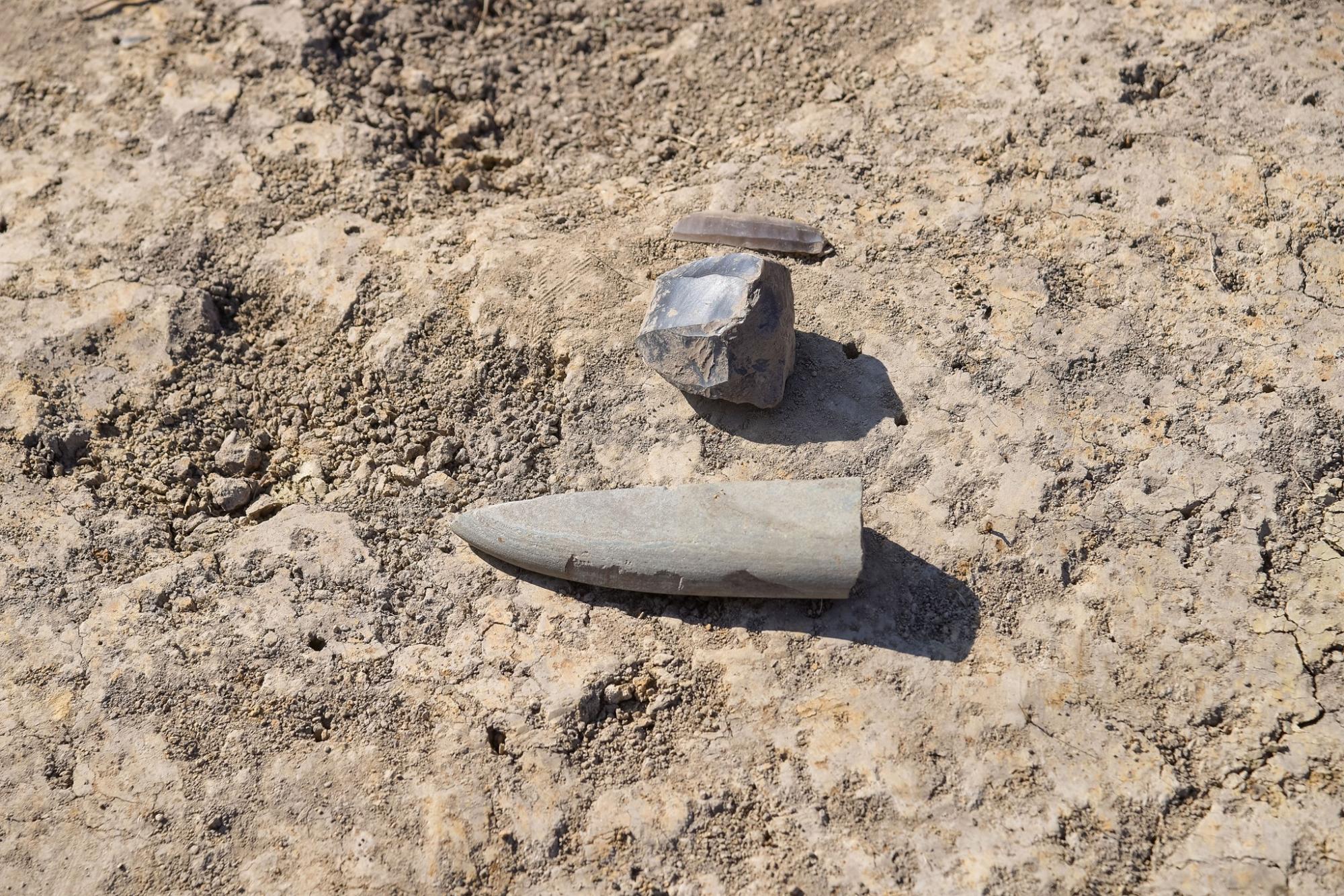 Під Львовом знайшли поселення найдавнішої культури: артефактам понад 7 тисяч років