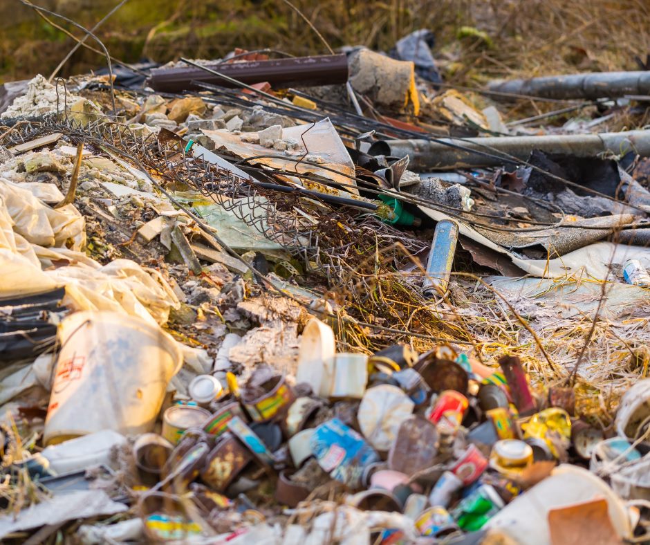 У Києві знайшли гігантське незаконне сміттєзвалище "під носом" у держустанов