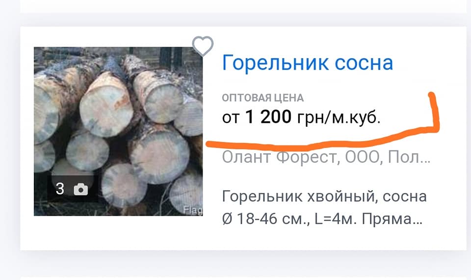 Українцям розповіли про &quot;бізнес&quot; на лісових пожежах: сторонніх туди не пустять