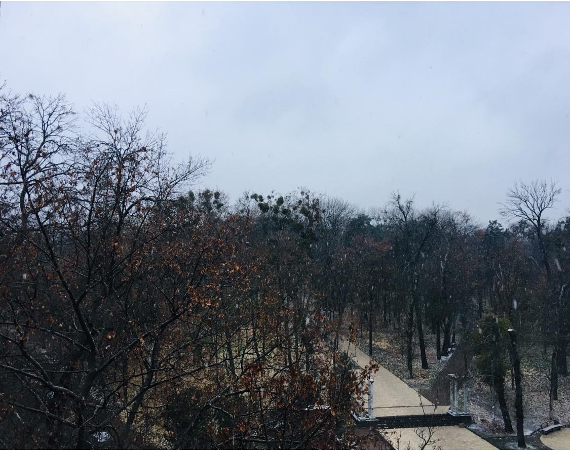 У Києві випав перший сніг: фото і відео запорошеної столиці