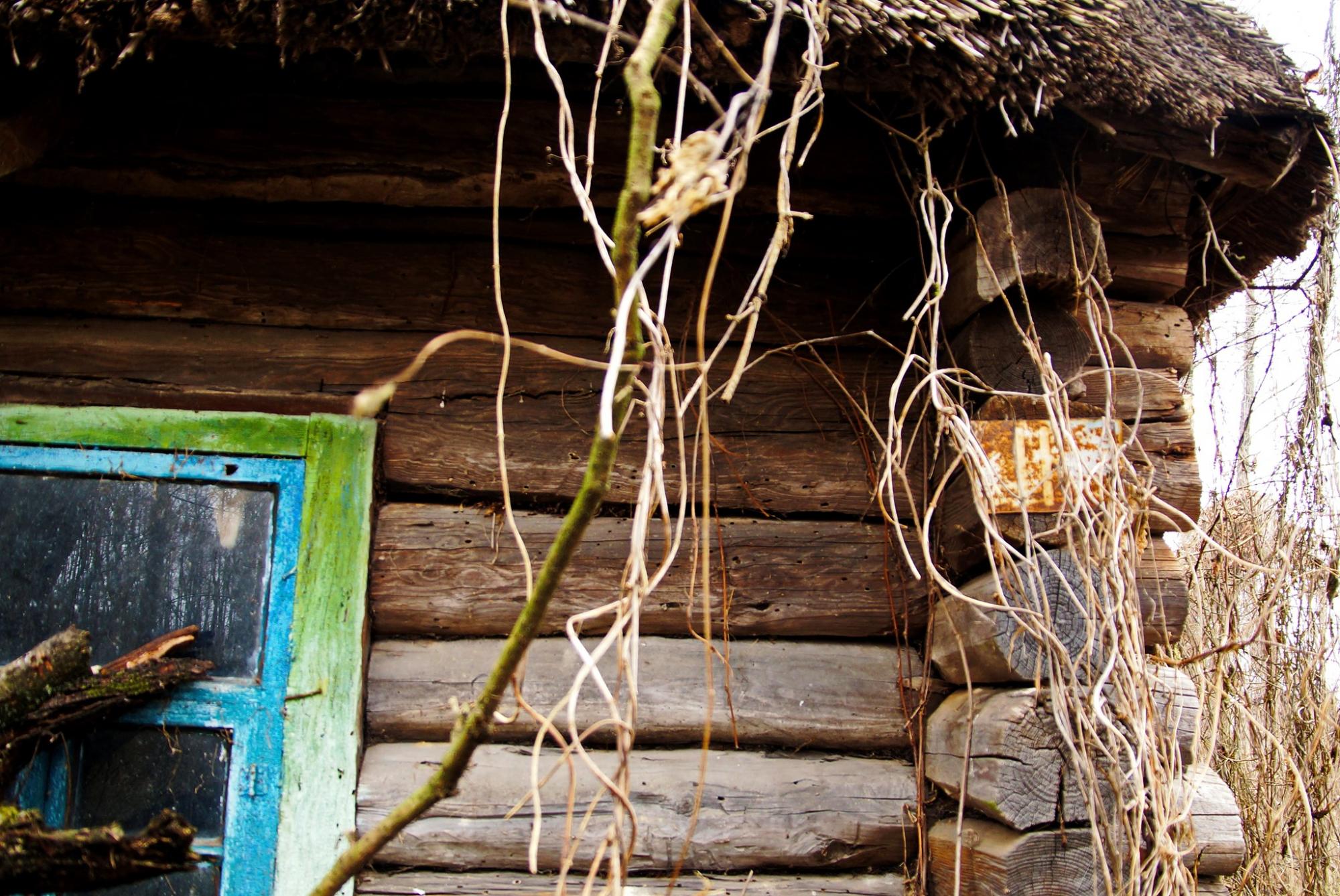 В Чернобыле обнаружили уникальную избушку: может, там живет Леший?