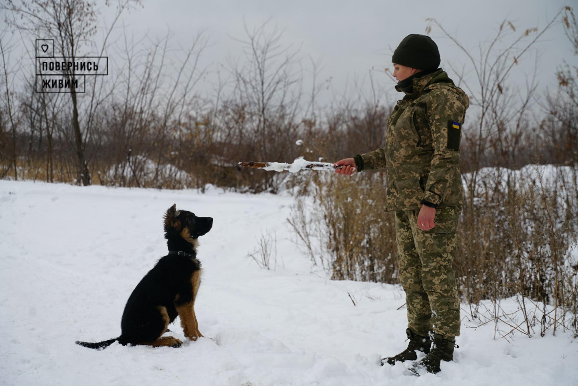 Украинцев восхитила история о медике ВСУ, которая спасла пятерых военных на Донбассе