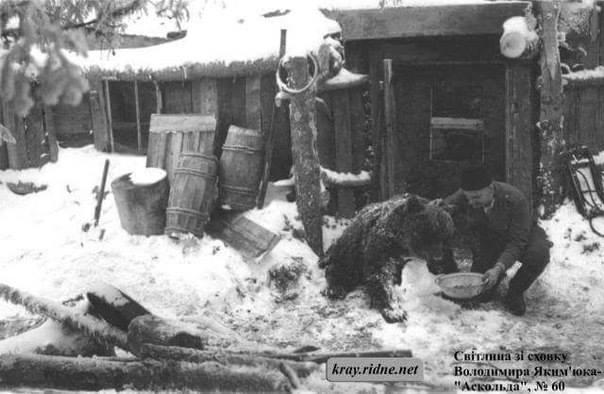 Врятував ведмежа від російських окупантів: мережу вразила історія про українського бійця (фото)