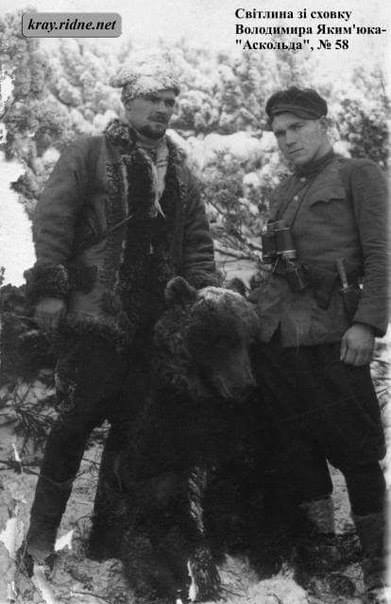 Врятував ведмежа від російських окупантів: мережу вразила історія про українського бійця (фото)