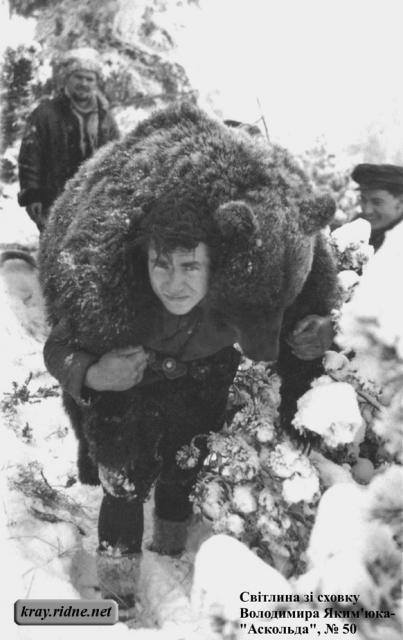 Врятував ведмежа від російських окупантів: мережу вразила історія про українського бійця (фото)