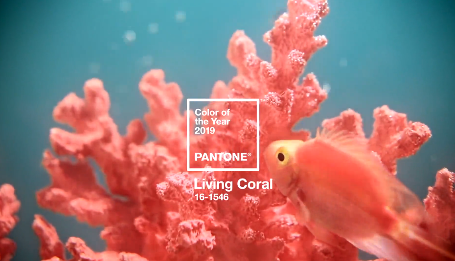 Pantone назвал главный цвет 2019 года