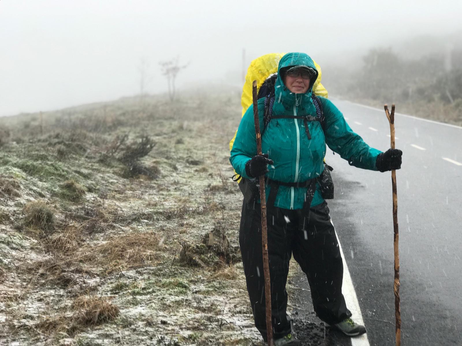 Онкохвора британка три роки йшла пішки від Києва до Уельсу: мандри показала на фото