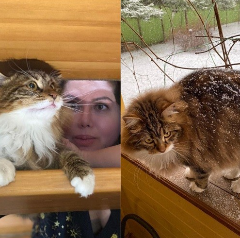 Коханець Заворотнюк живе в садибі з двійником "няні" та котом Пинею (фото)