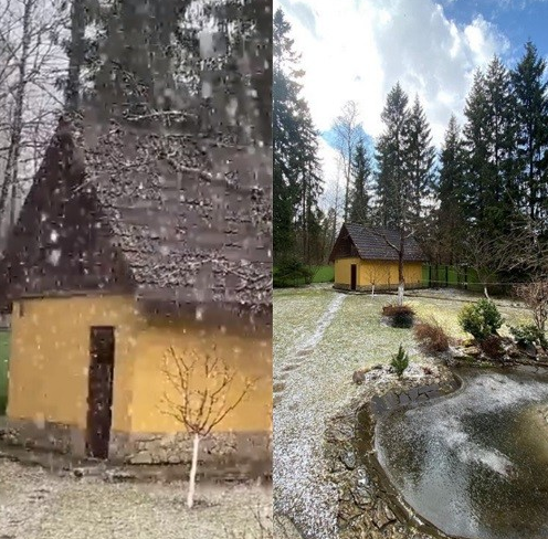 Коханець Заворотнюк живе в садибі з двійником "няні" та котом Пинею (фото)