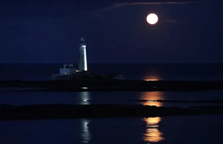 Осетрова повня: з'явилися потужні фото і відео рідкісного явища