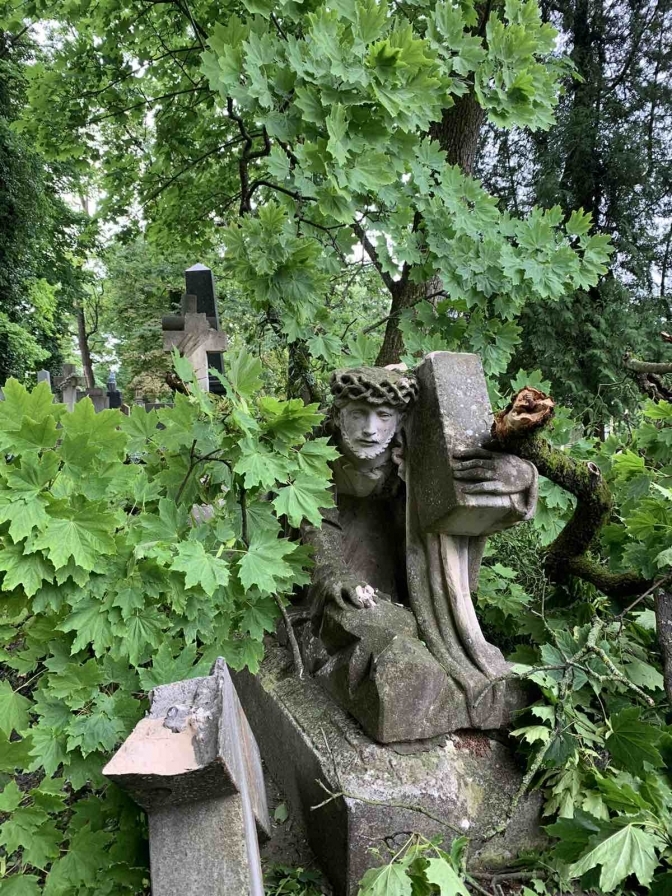 Во Львове ураган разрушил легендарное Лычаковское кладбище: восстановлению не подлежит