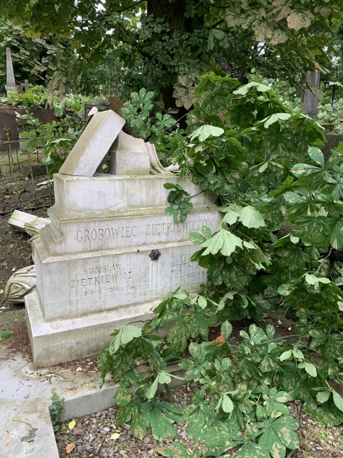 Во Львове ураган разрушил легендарное Лычаковское кладбище: восстановлению не подлежит