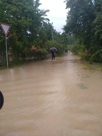 На Закарпатье ливни затопили дороги и дома: люди по колено в воде (видео)