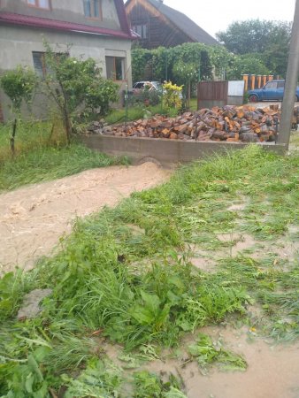 На Закарпатье ливни затопили дороги и дома: люди по колено в воде (видео)