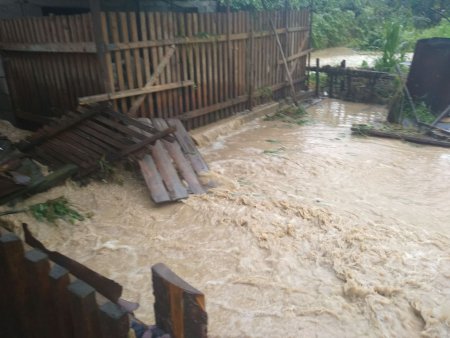 На Закарпатье ливни затопили дороги и дома: люди по колено в воде (видео)