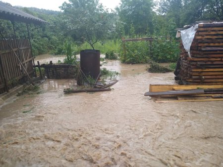 На Закарпатье ливни затопили дороги и дома: люди по колено в воде (видео)