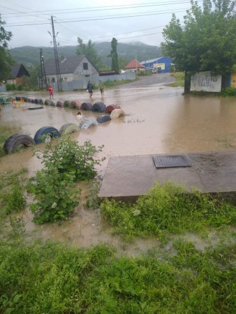 На Закарпатье ливни затопили дороги и дома: люди по колено в воде (видео)