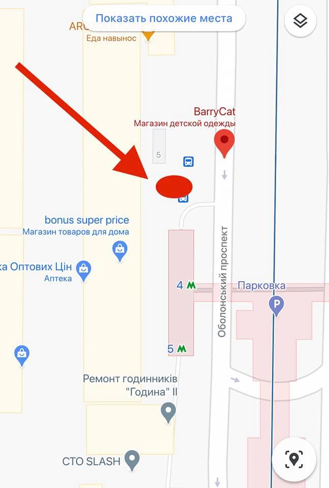 Жителі Києва об'єдналися, щоб допомогти бабусі-майстрині зі звірятами у метро