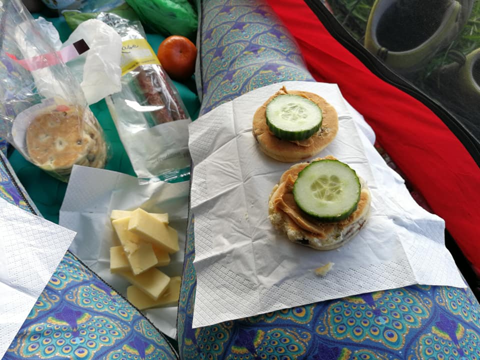 Онкохвора британка три роки йшла пішки від Києва до Уельсу: мандри показала на фото