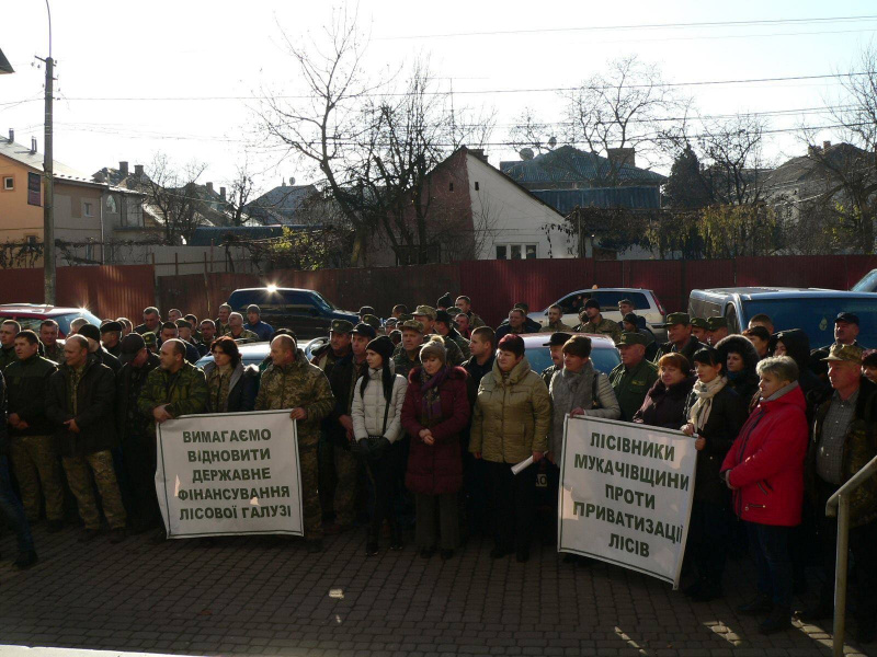 В Украине проходят митинги с требованием не допустить приватизации лесов