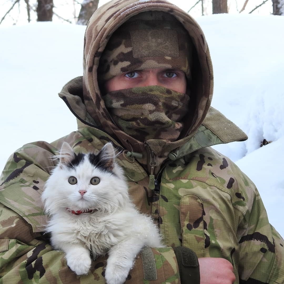 Кудлаті вояки: фото вірних чотирилапих друзів українських бійців на передовій