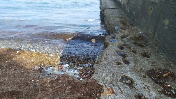 Пляжі порожні, а ціни злетіли: з'явилися фото проваленого "сезону" в Криму