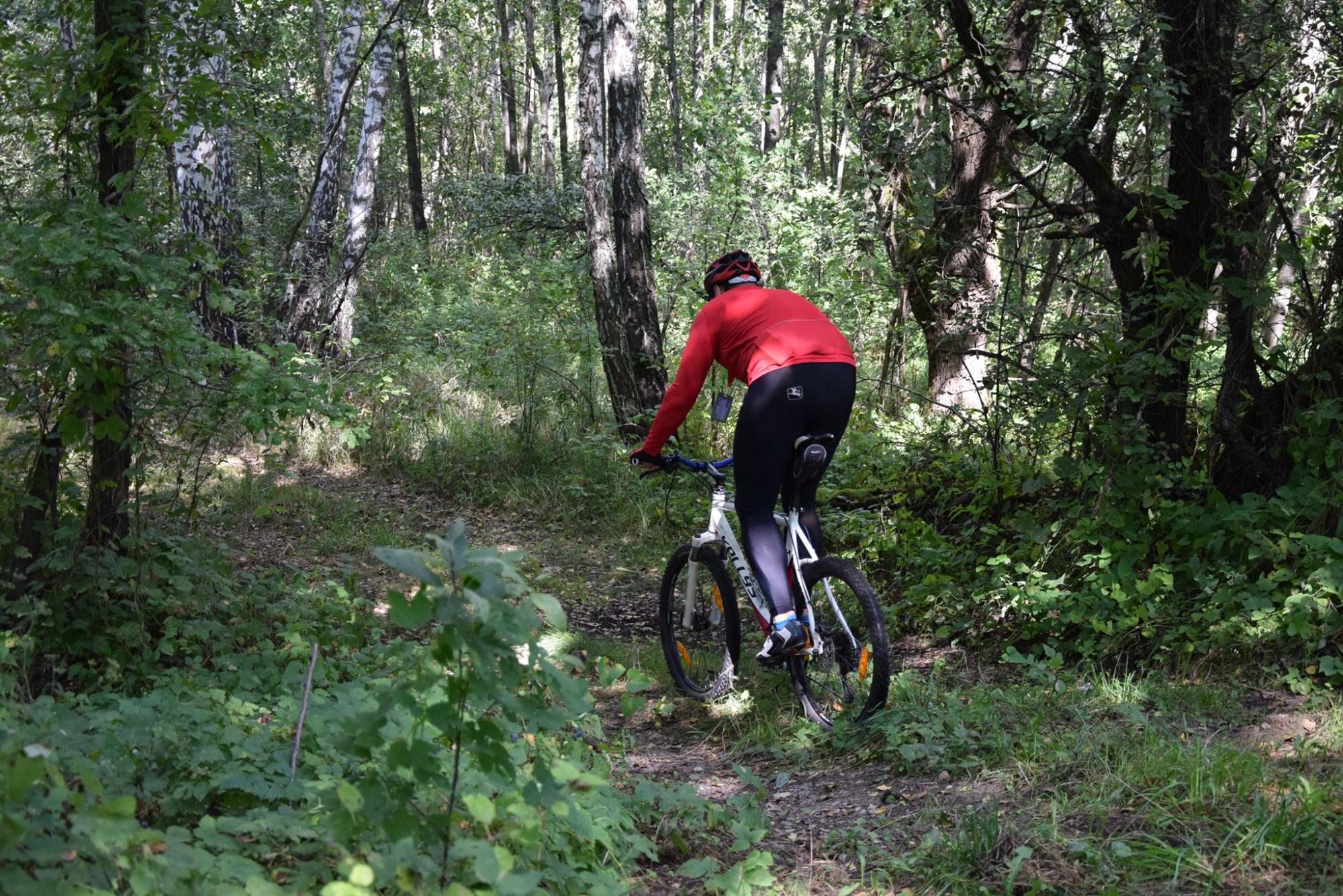 У Чорнобильській зоні з'явився перший веломаршрут: де можна кататися