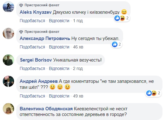 В центре Киева мужчина чудом увернулся от падающего дерева: видео спасения