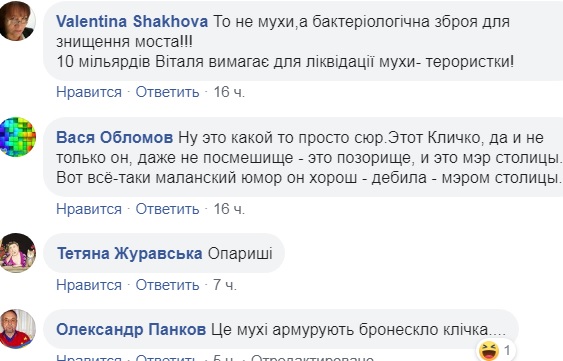Новий скандал з "мостом Кличка": всередині скла завелися мухи (відео)