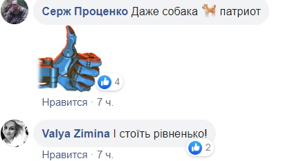 Пес-патриот спел под гимн Украины и покорил сеть (видео)