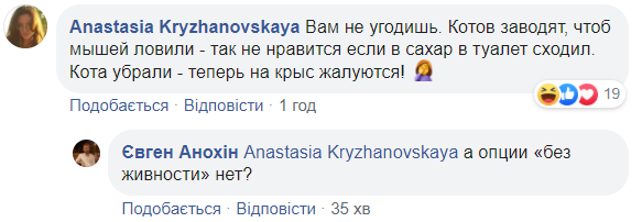 В популярном супермаркете Киева сняли на видео, как крыса ела хлеб на прилавке