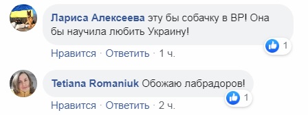 В Украине пес-патриот восхитил сеть: отвечает на "Слава Украине"