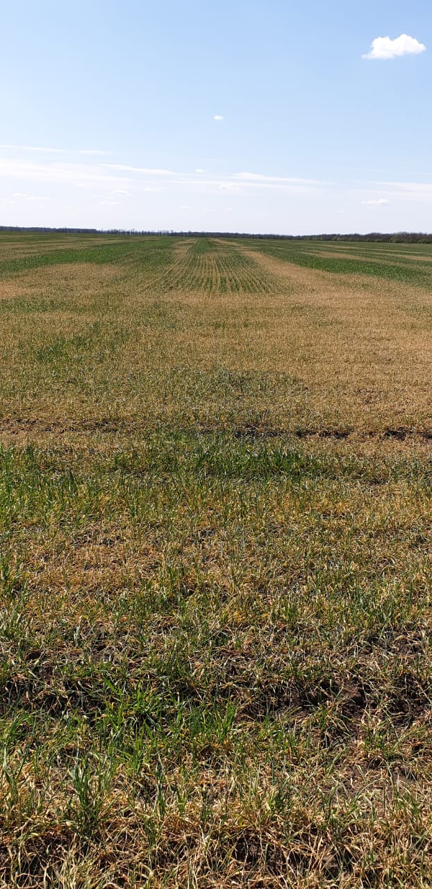 Буде голод: під Одесою люди благають про допомогу