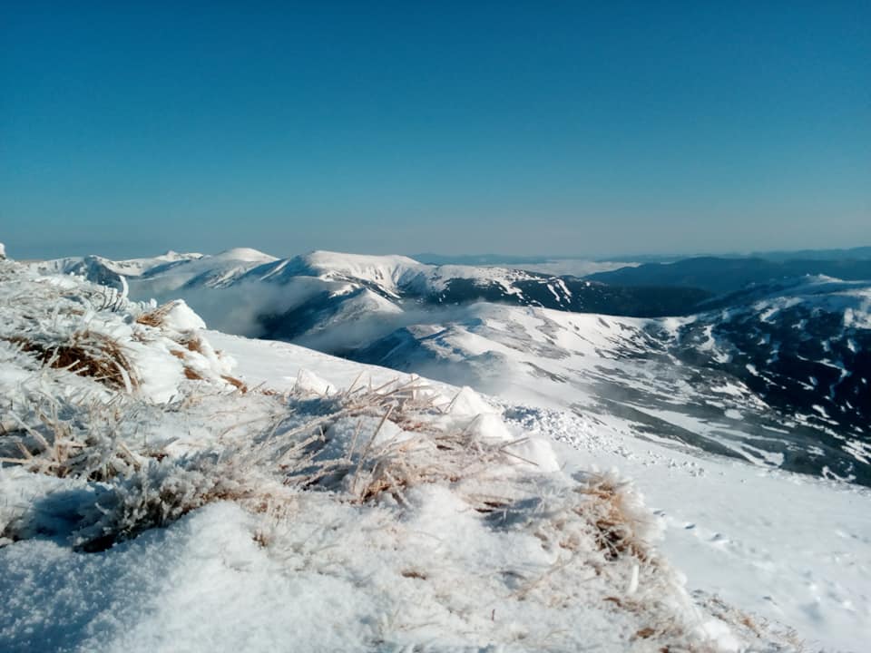 Украинские Карпаты засыпало снегом: появились фантастические фото