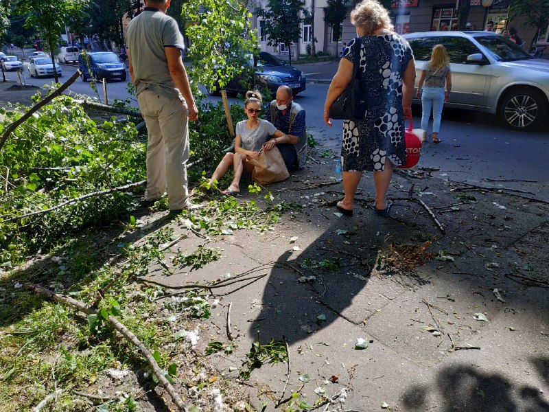 В Киеве на девушку упало дерево: фото инцидента