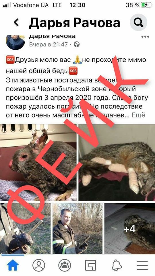 Мошенники наживаются на пожарах в Чернобыле: что придумали "дельцы"